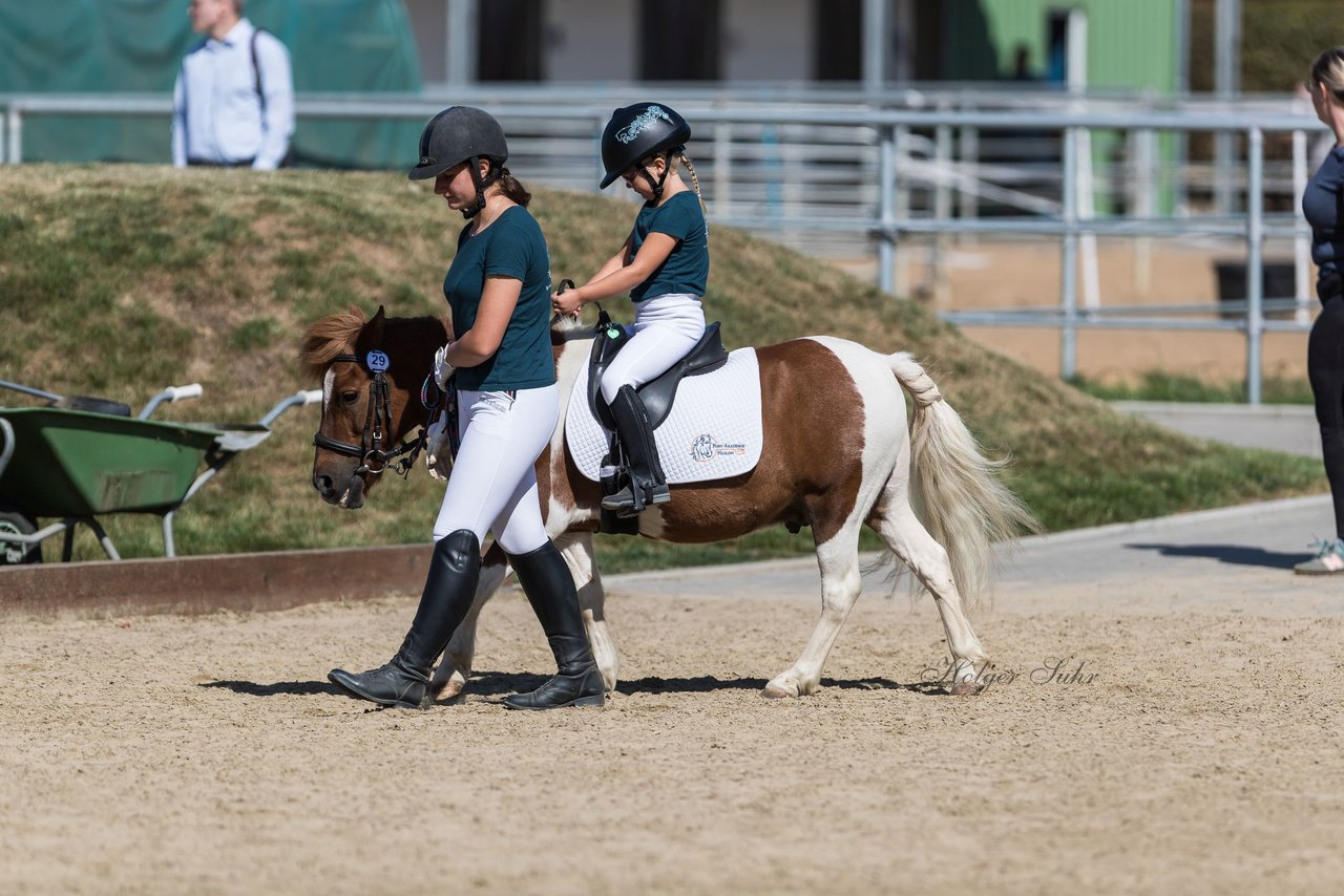 Bild 3 - Pony Akademie Turnier